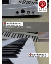SAMSON Carbon 61鍵 MIDI KEYBOARD